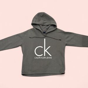 Calvin Klein Jeans Charcoal Hoodie for Kids